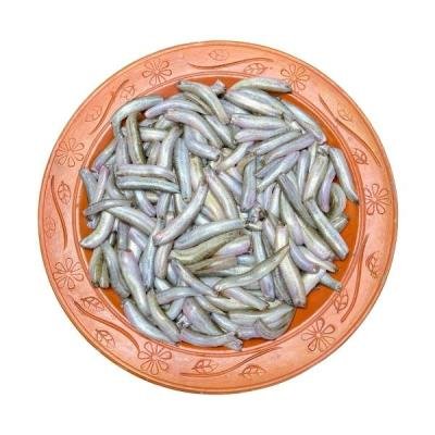 দেশি গুতুম মাছ